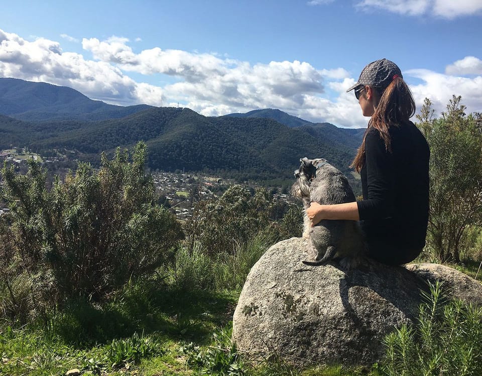 Huggins lookout walk