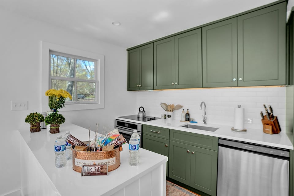 Modern kitchen with green cabinets, steel appliances, and airy vibe.