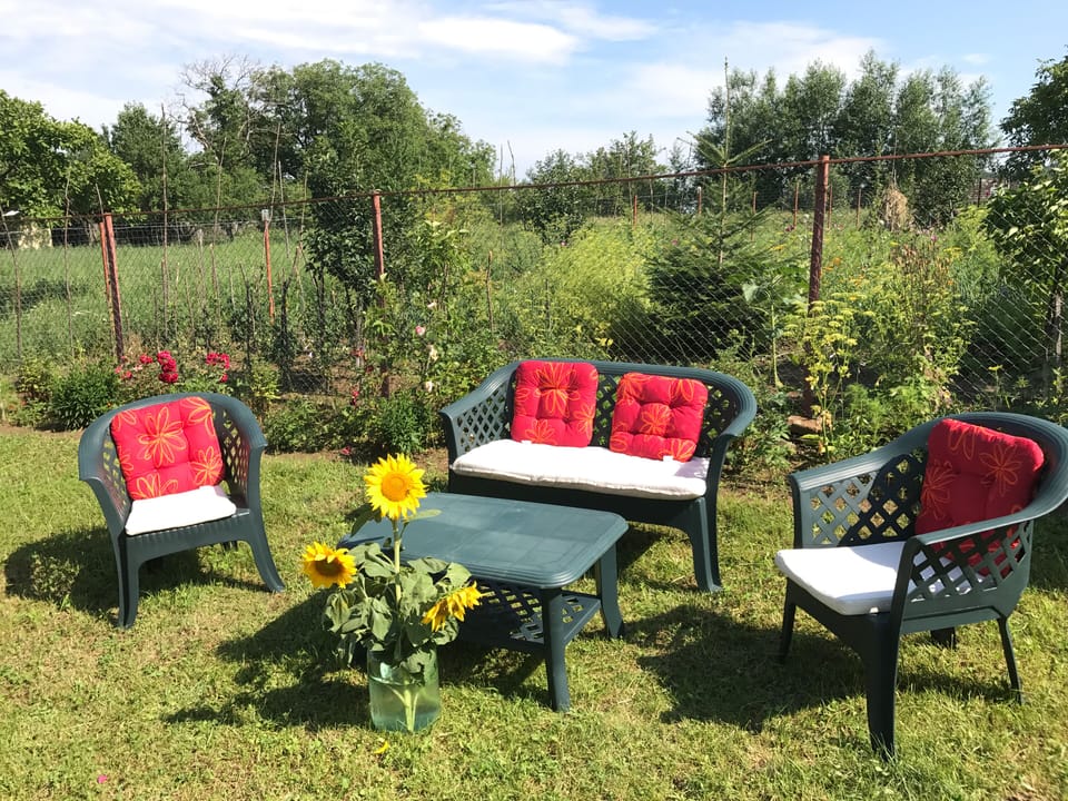 The garden