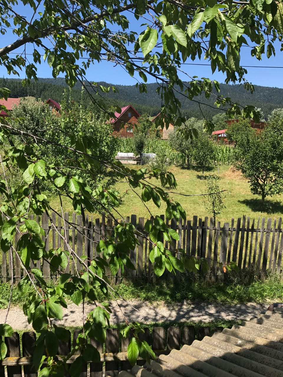 The view from room #1