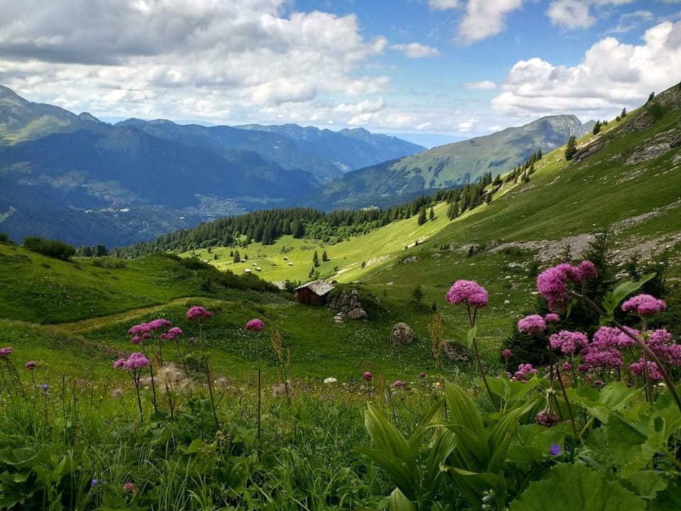 Hiking in the Alps