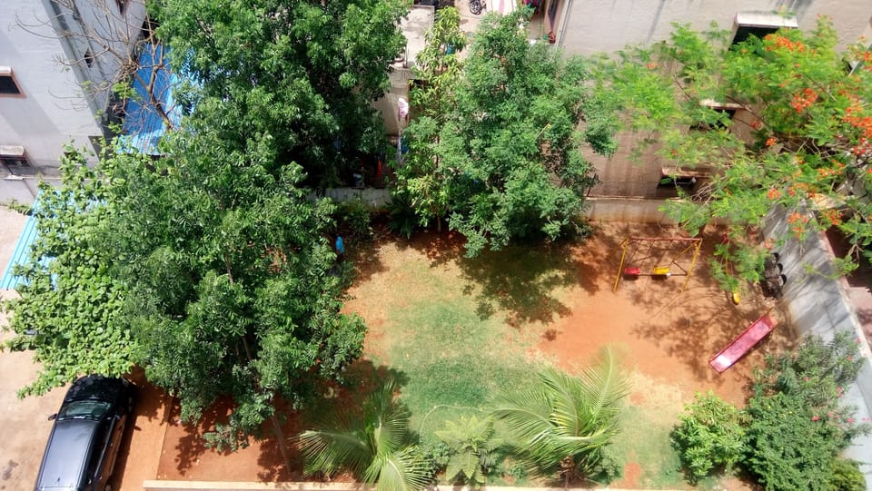 Garden view from Balcony