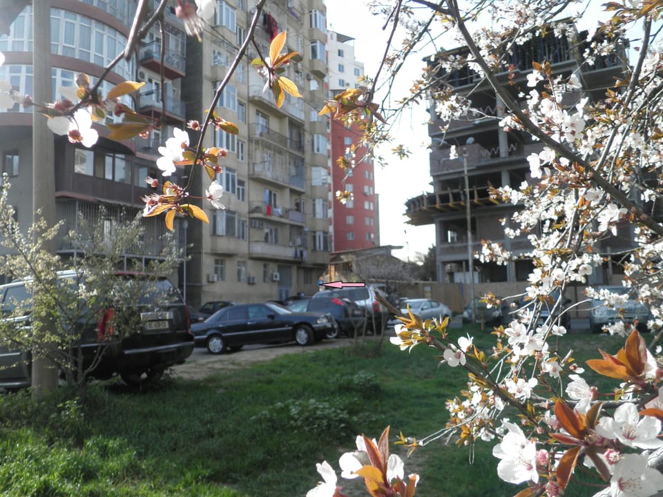 street