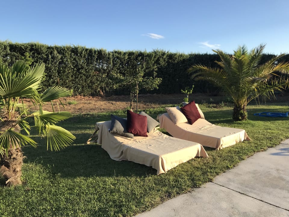 Daytime beds in the garden