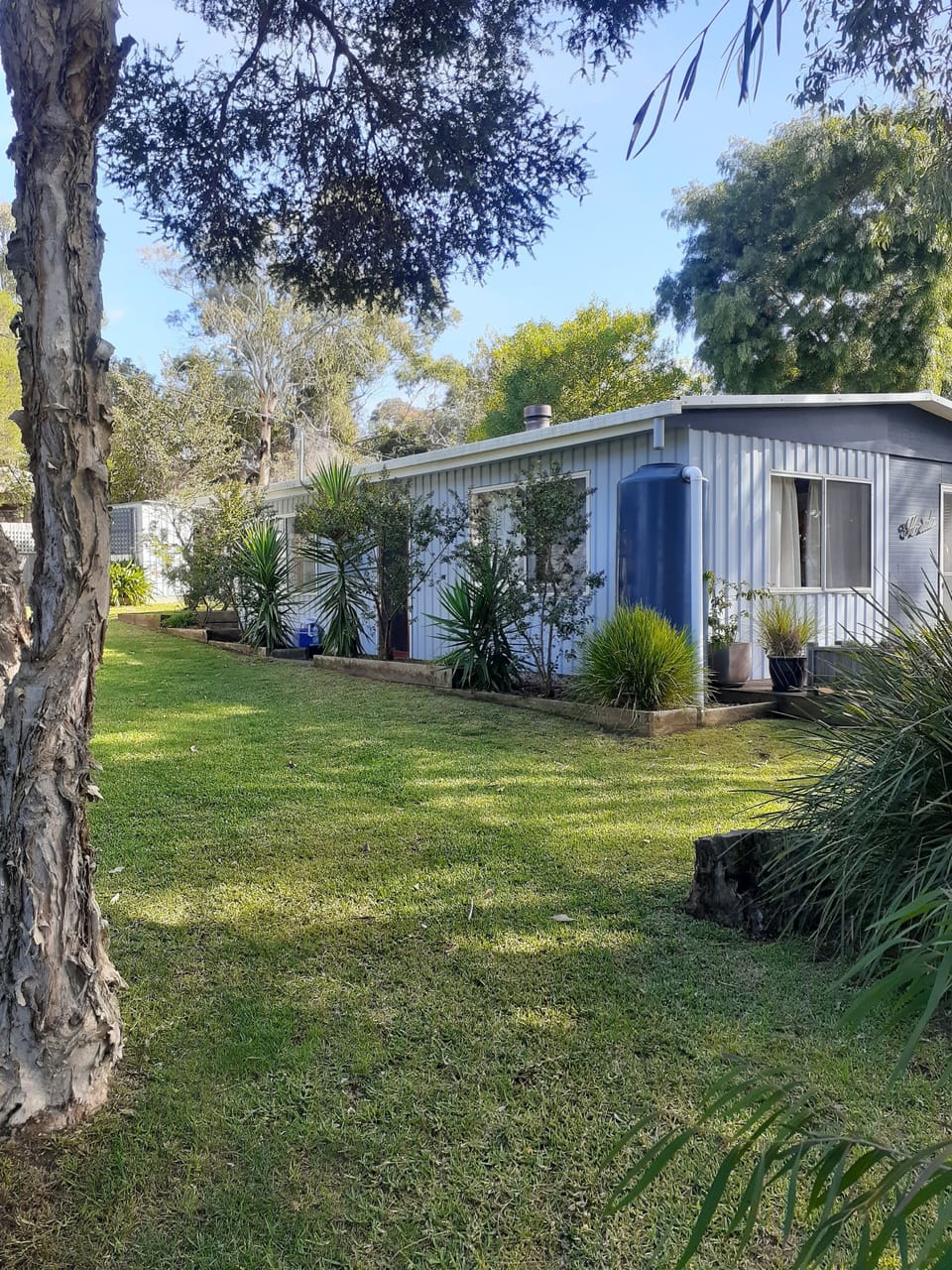 House and garden