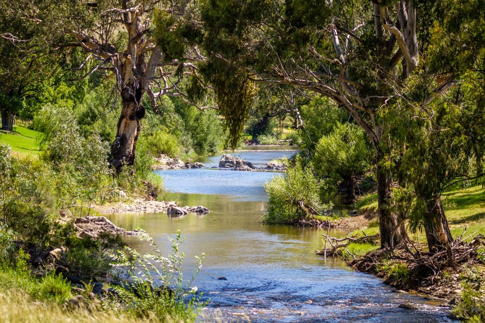 The river below