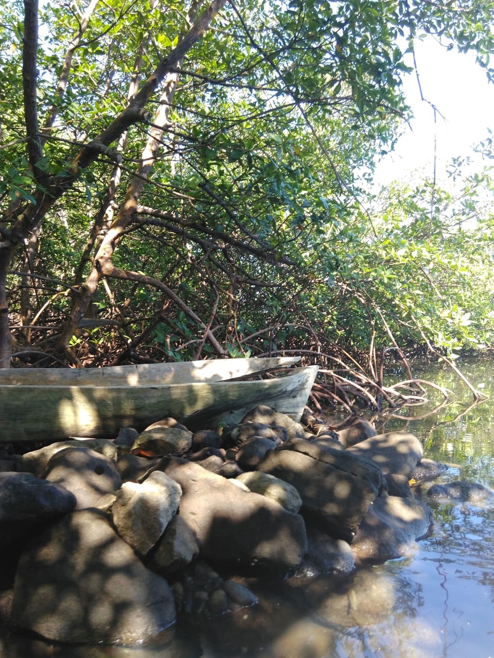 The shore