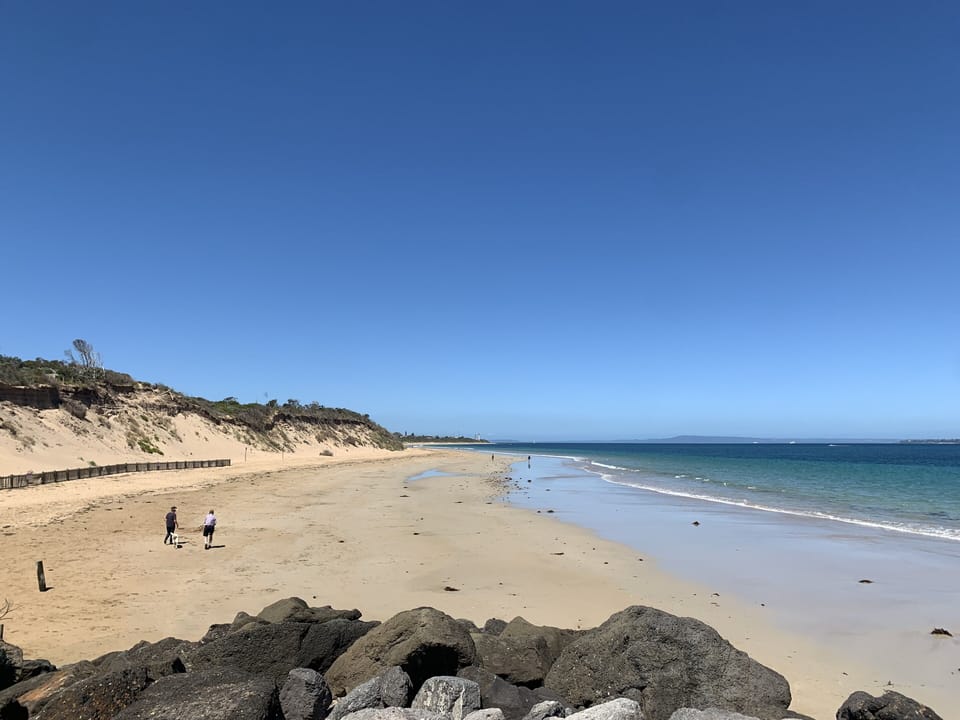 Dog beach over the road 