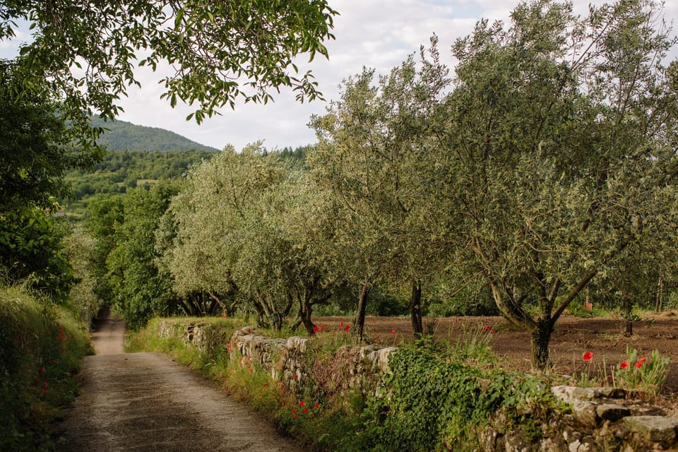 Road up to the castle