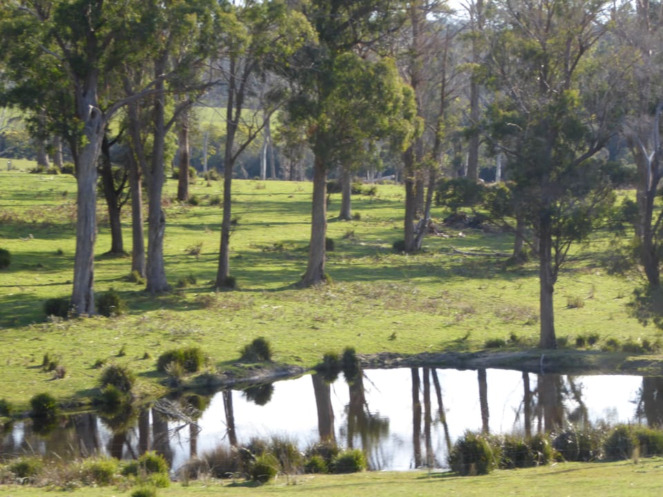 Peaceful propety just minyes from the shops and cafes.