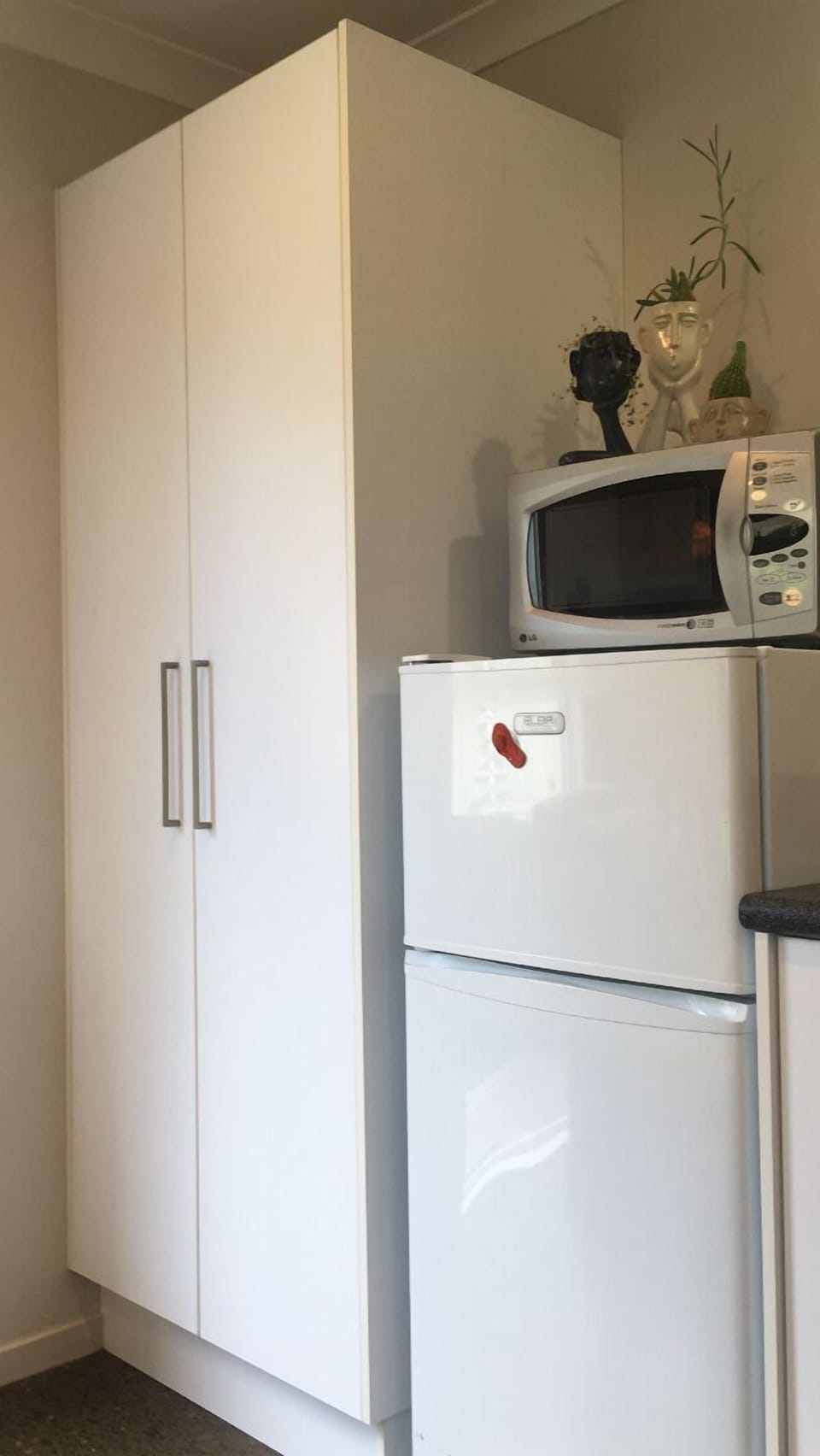 Pantry and fridge/freezer