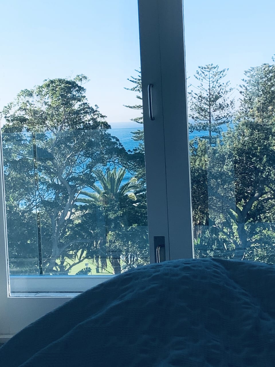 winter view, from bed! Wake up to this every morning.