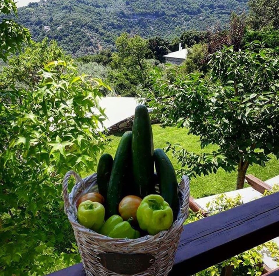 And every morning you can all taste lots of organic vegetables cultivated by us 