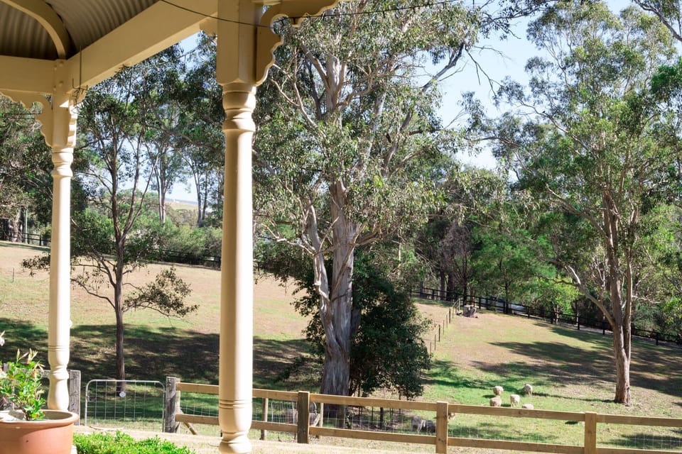 View from the French Doors