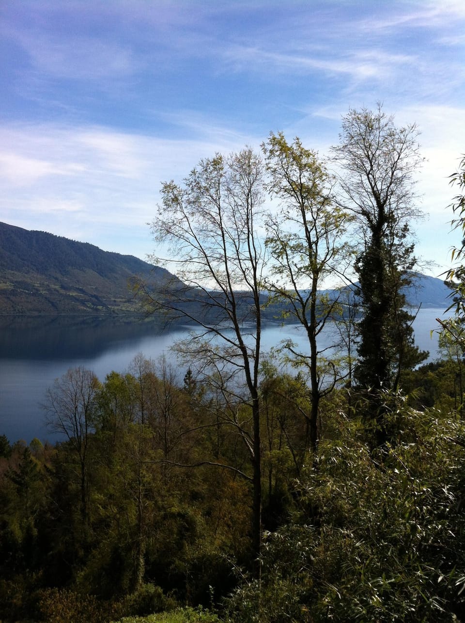 View from the house