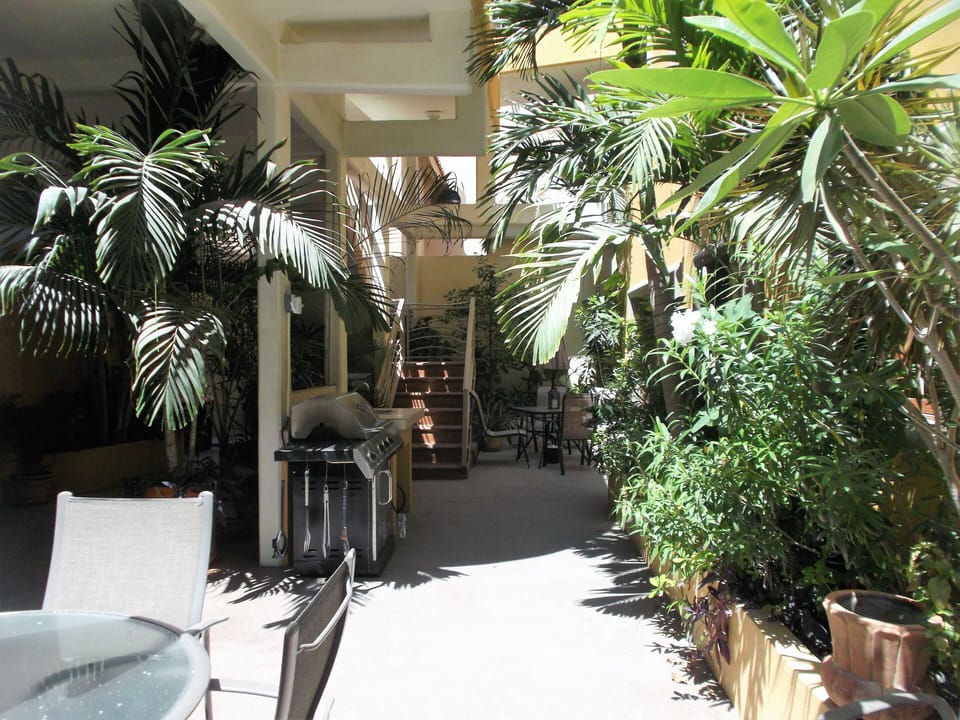 stairs down to apartments and lush courtyard overview