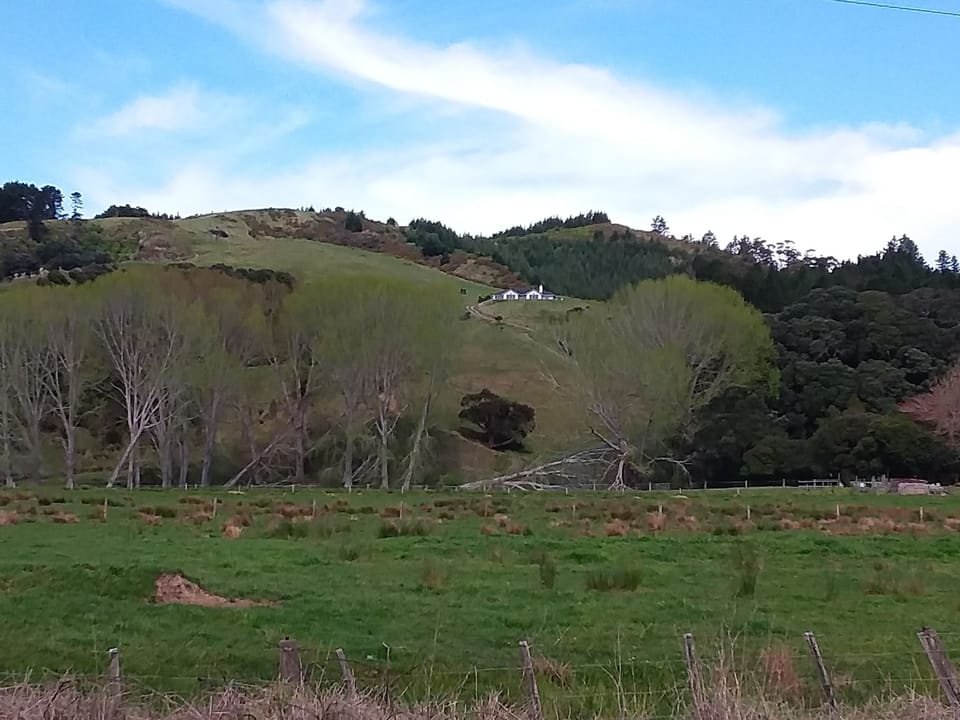 View to House from Road