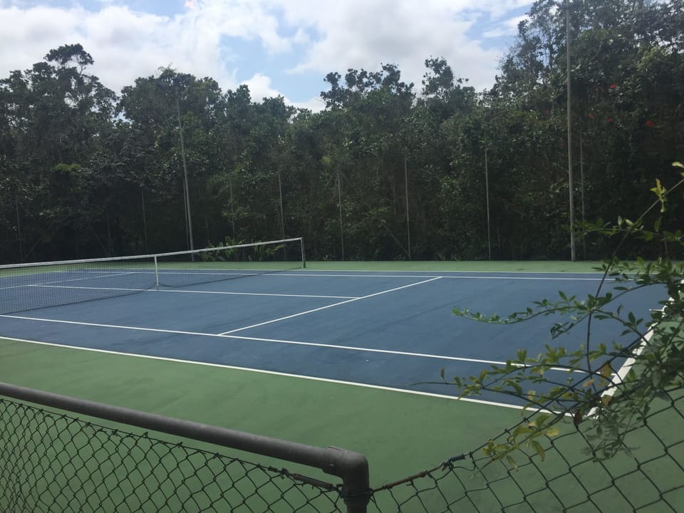 Sport court