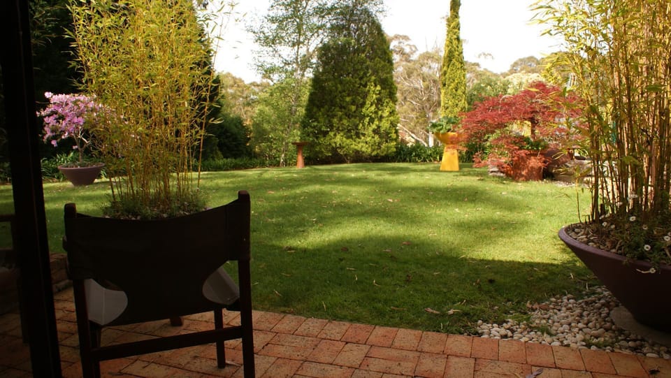 back garden