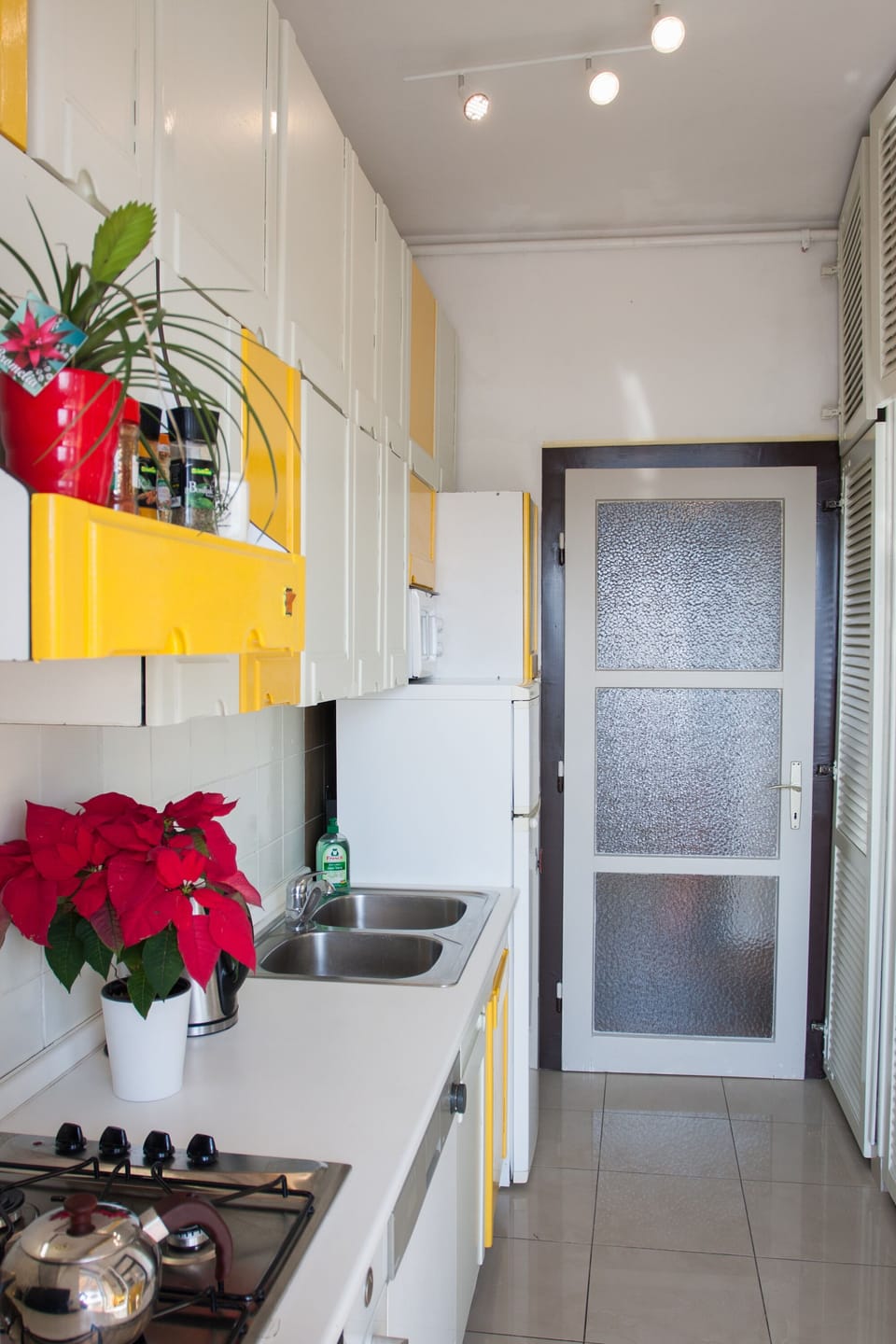Kitchen: dishwasher, oven, microwave, refrigerator, freezer, coffee maker etc.