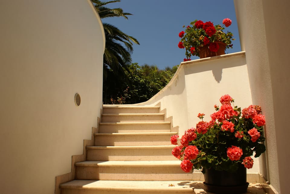 Garden detail