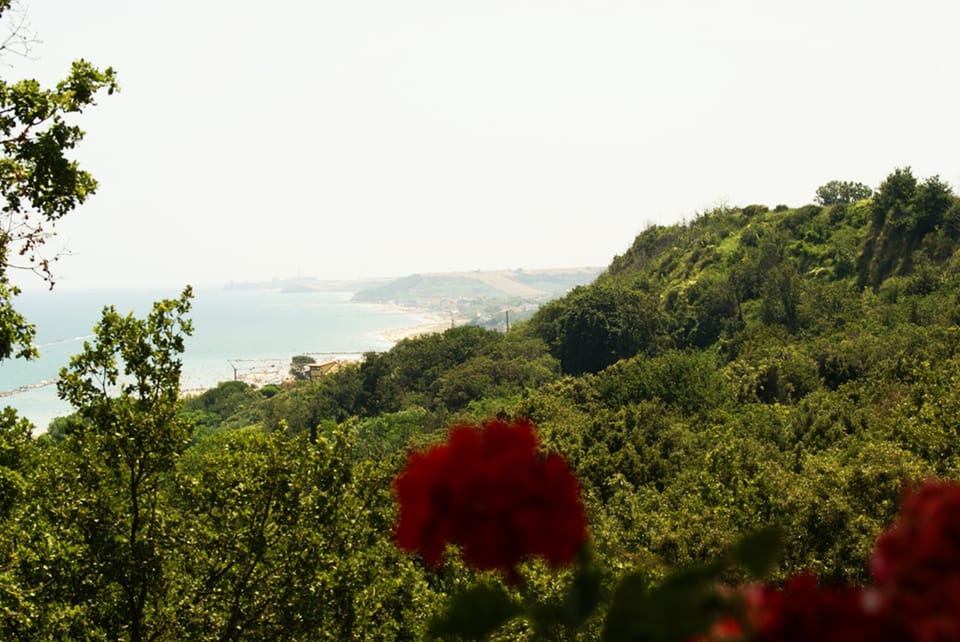 Bay view from upper terrace