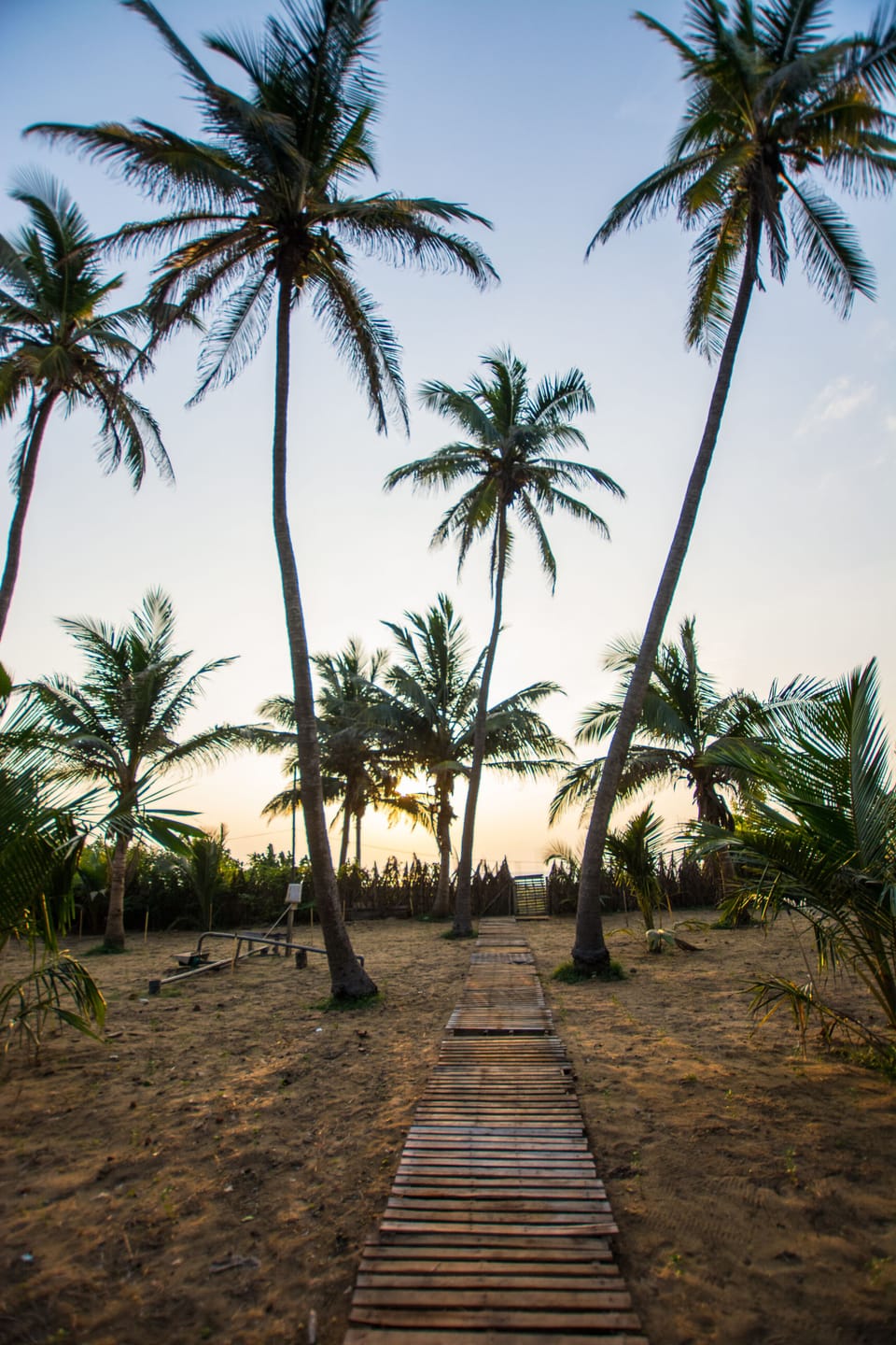 Path to the beach