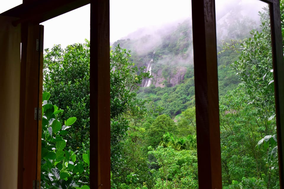 View from the Bedroom 1
