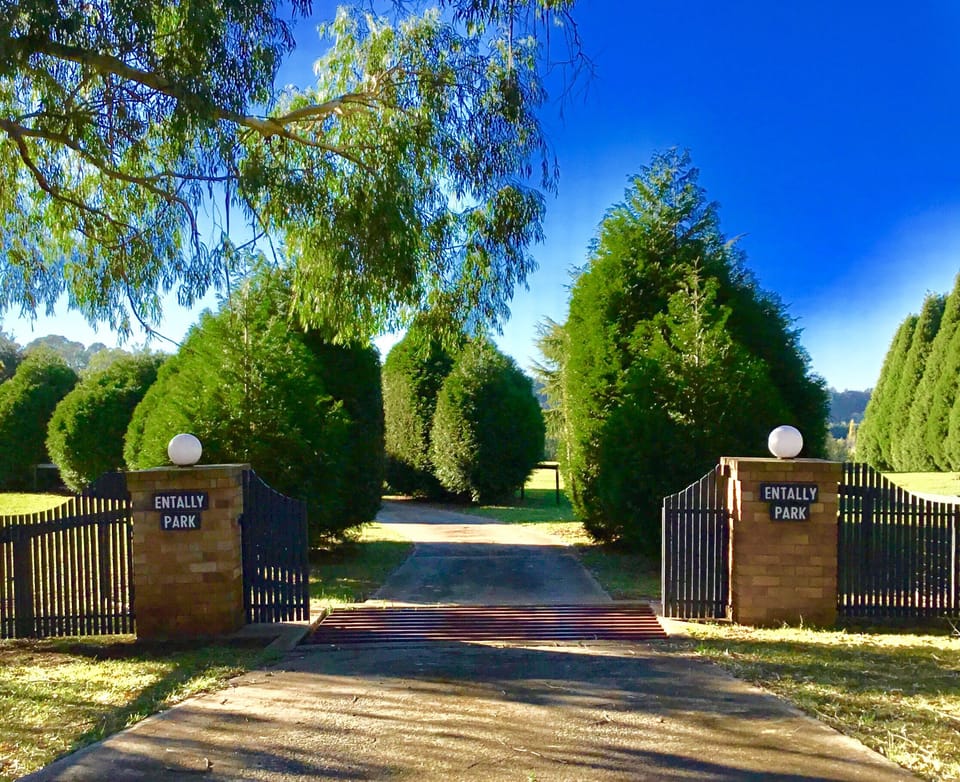 Entry Gates