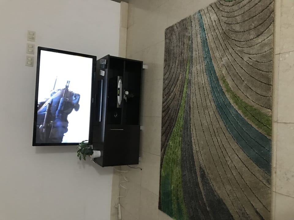 Television