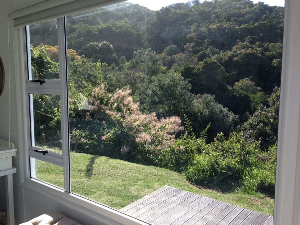 The thicket and trees surrounding the property on two sides.