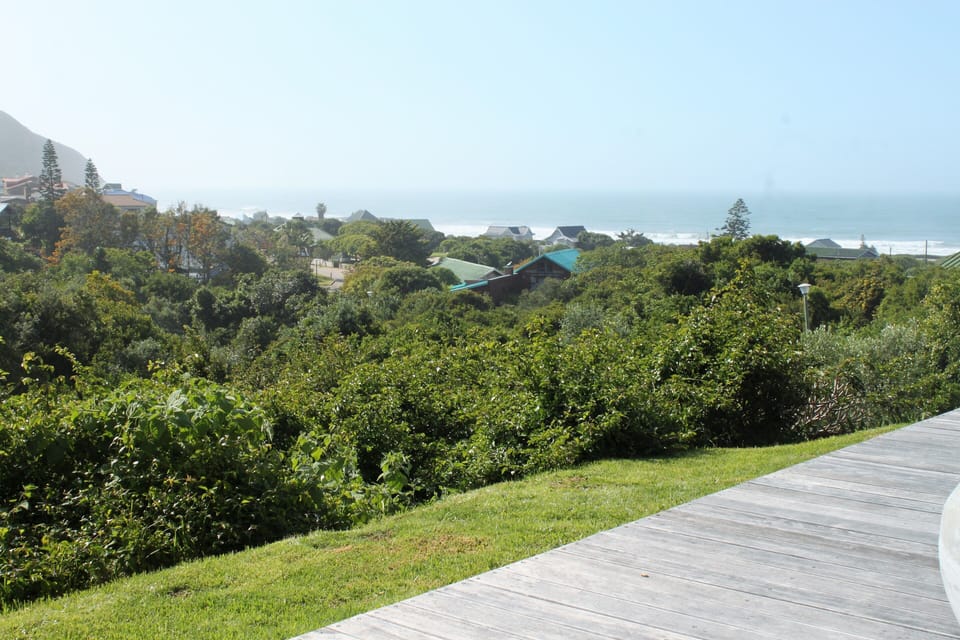 An unobstructed view from the porch to watch the abundant bird life.