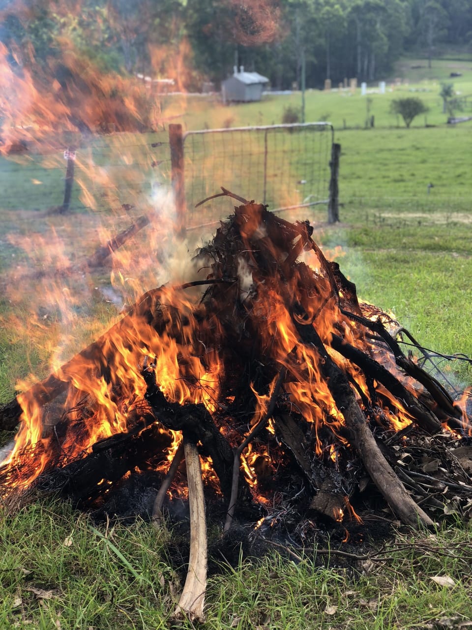 Bonfire