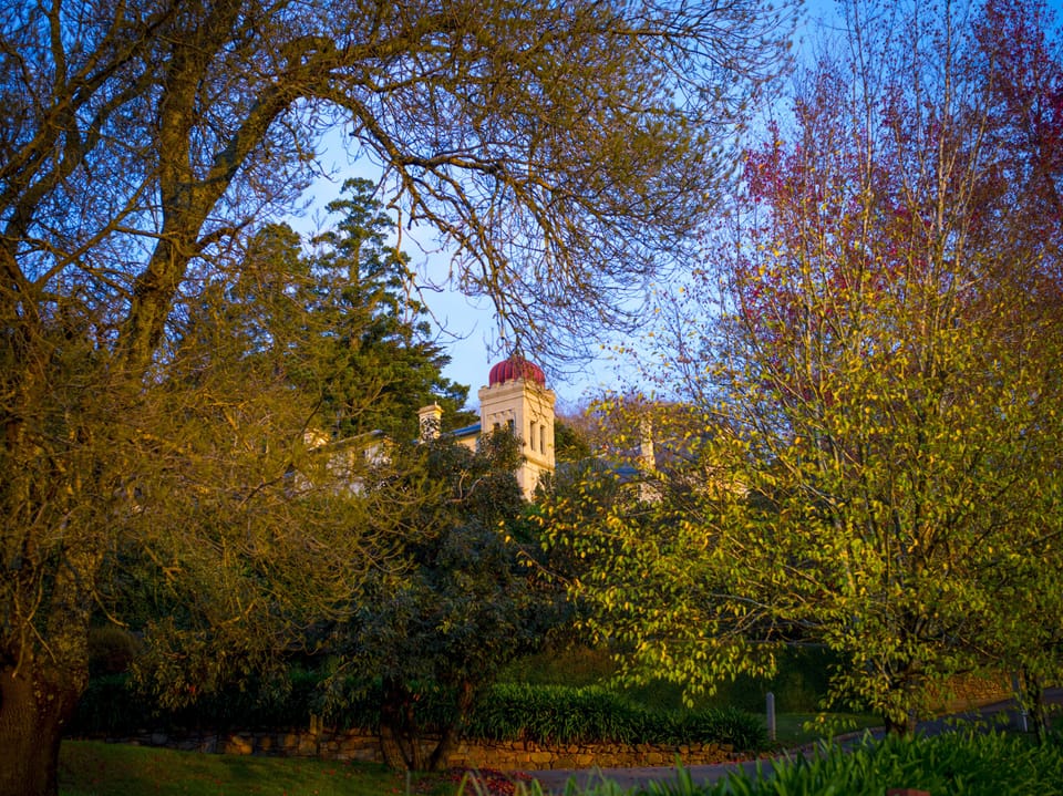 The Convent, art & meals