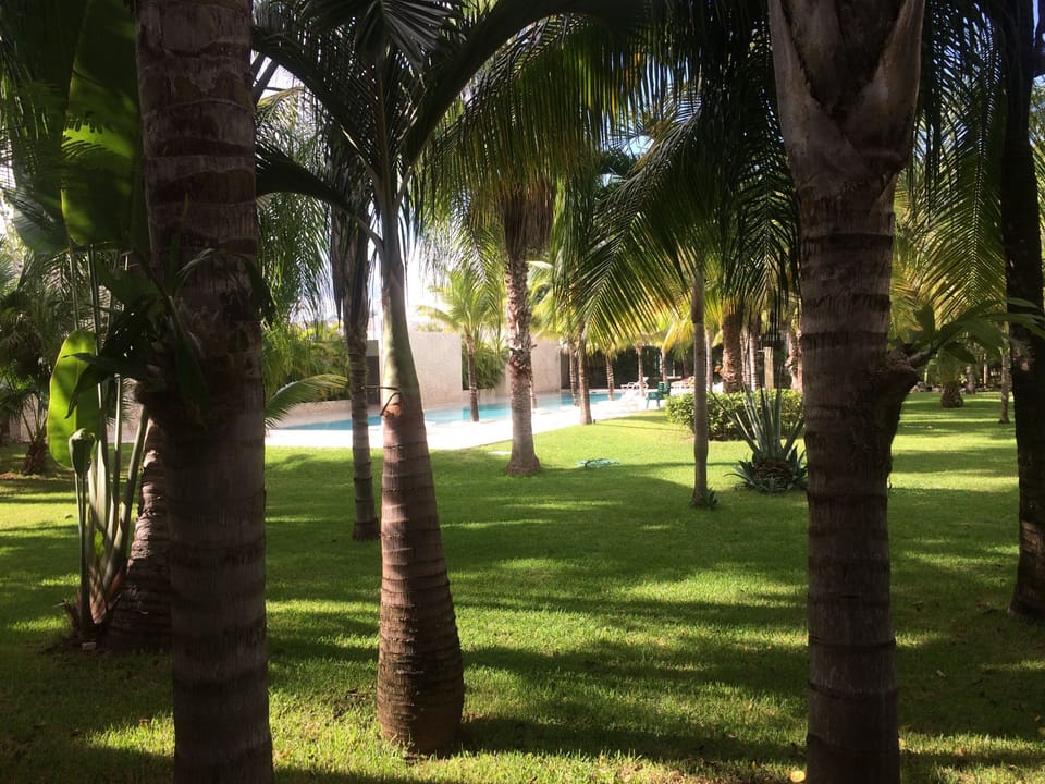 View from all bedroom on the tropical garden