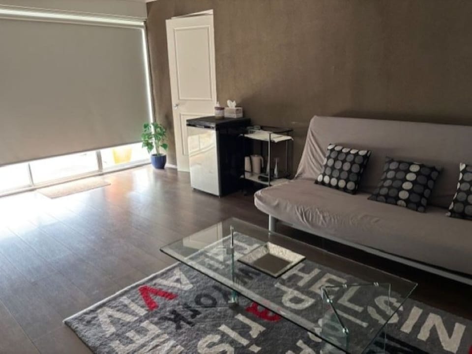 Downstairs Living