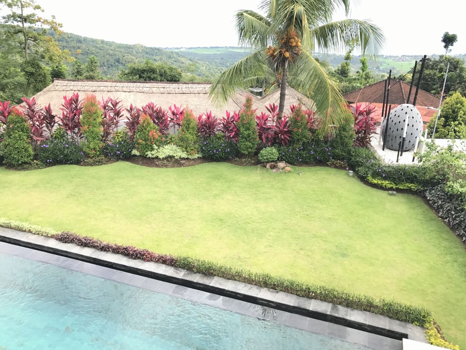 Garden & Pool