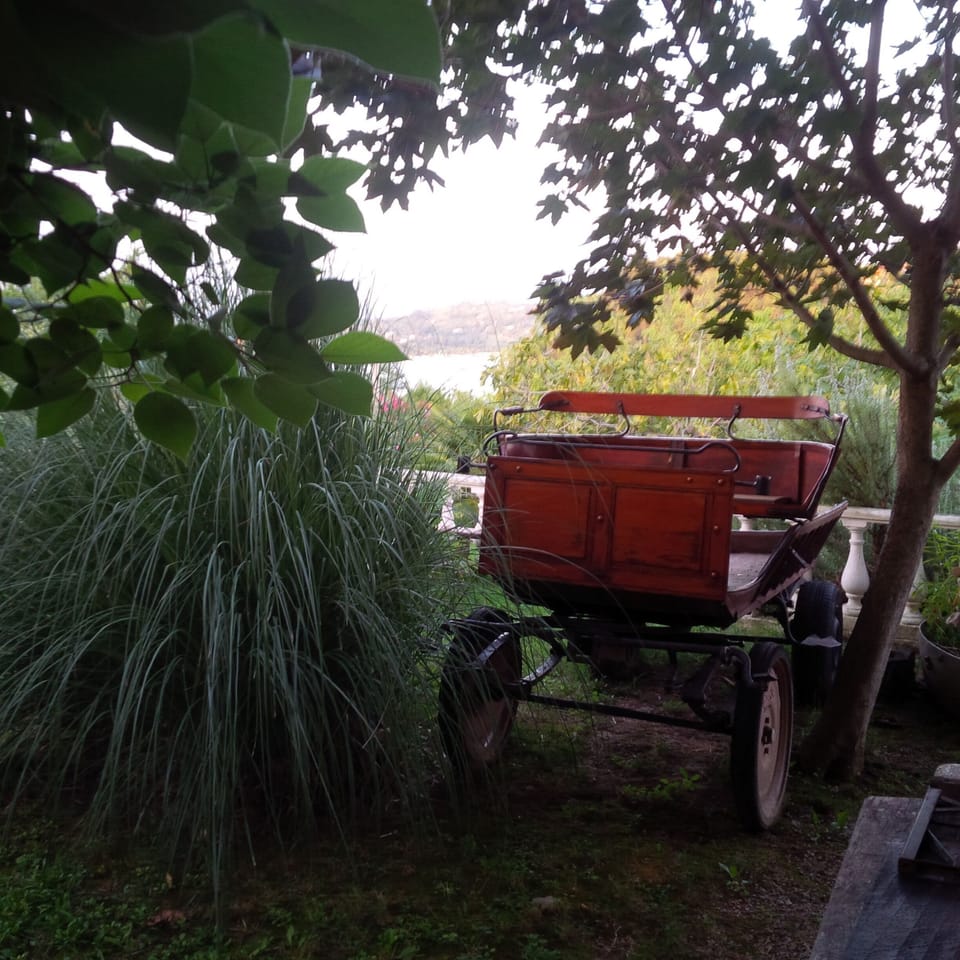 Old wagon in garden.
