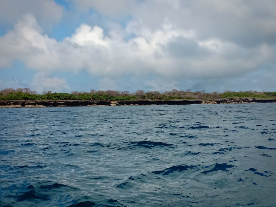 wasini island,wanna swim with the dolphins?