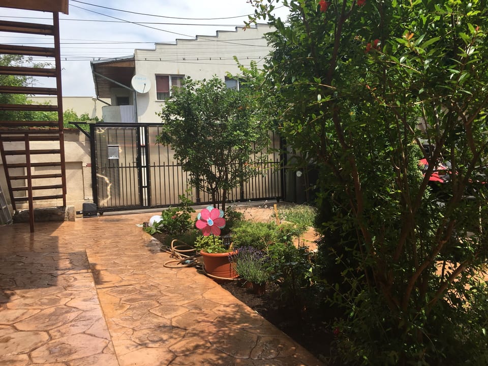 yard