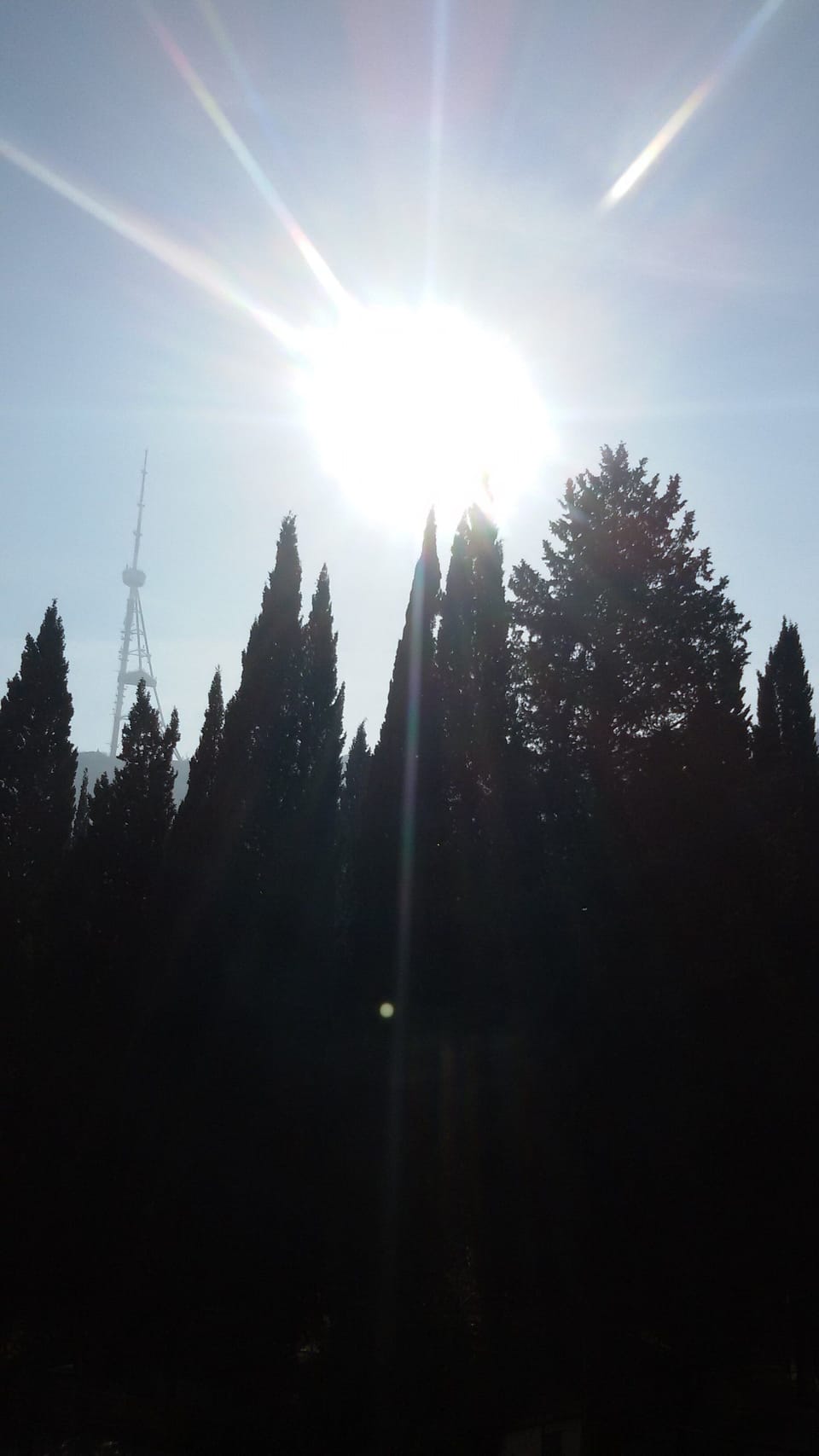 Miscellaneous