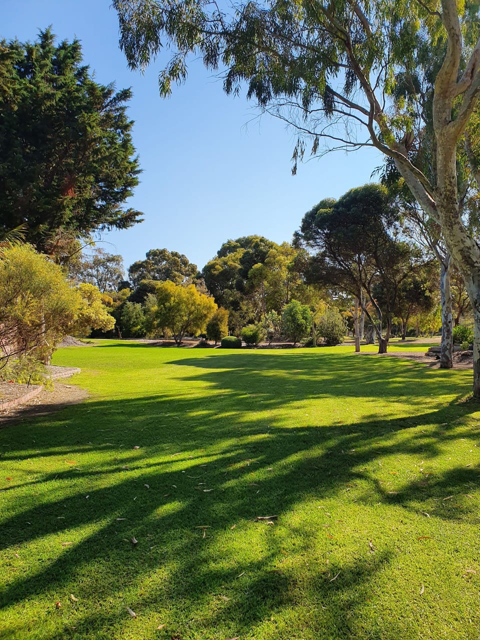 lawn and gardens 