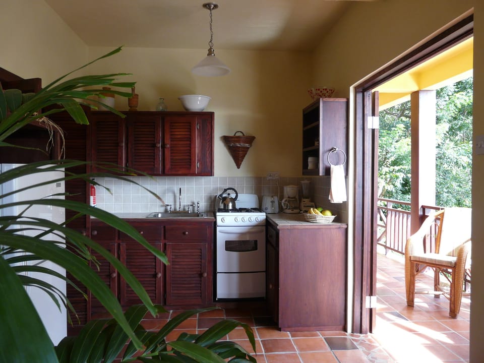 The well appointed kitchen