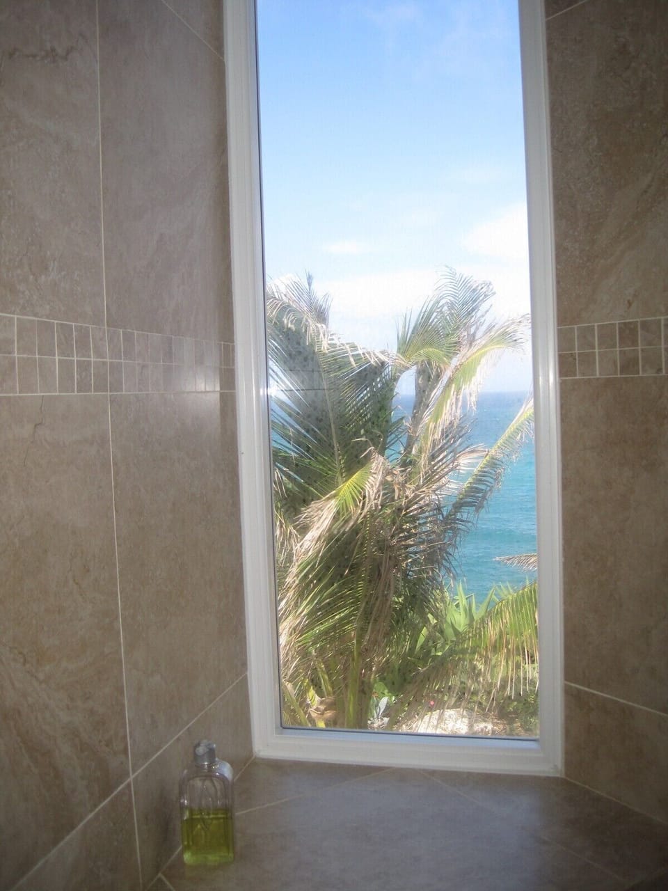 View from Master Shower