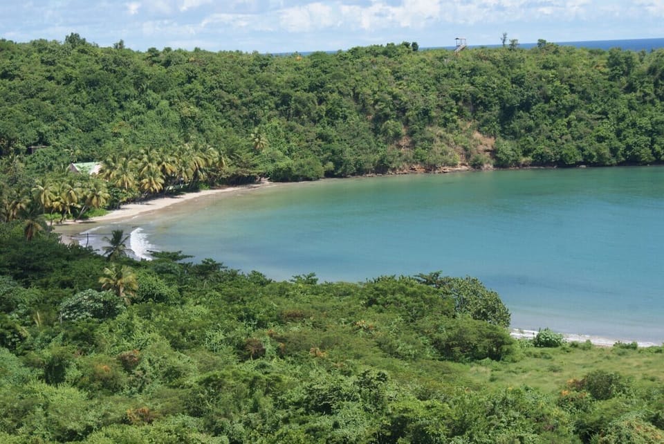 The view of La Sagesse Bay