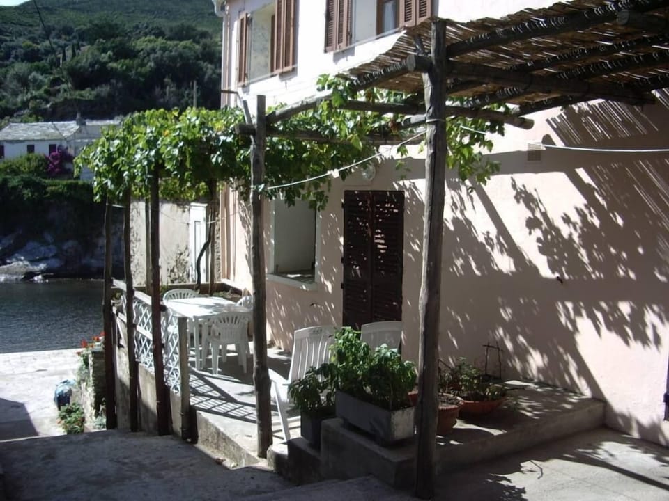 Terrace / Balcony