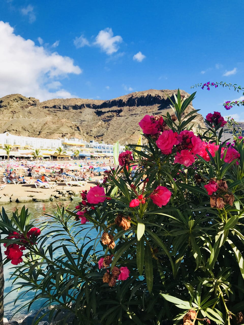 Puerto do Mogan beach area