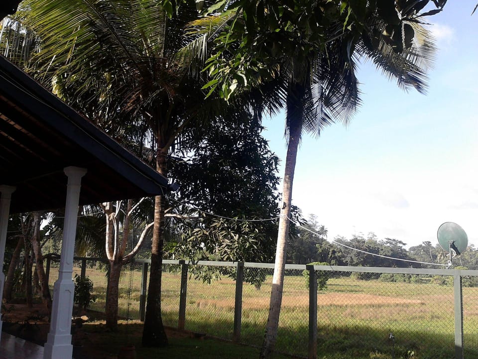 View from terrace