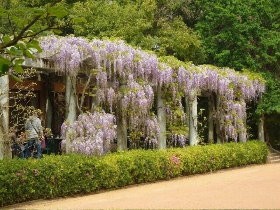 serralves