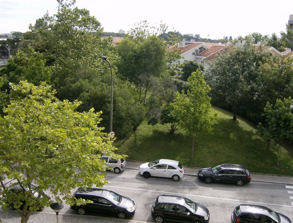 view from living room window